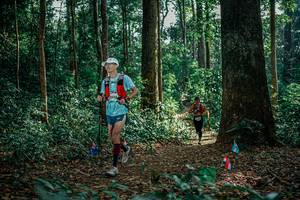 BIB: 
                            <button type="button" onclick="openModal(26129934)" class="btn btn-primary btn-sm float-right btn-popup" data-toggle="modal" data-target=".modal-high-quality">
                        <i class="fas fa-shopping-cart"></i> Add to Cart
                    </button>
                                            <button type="button" onclick="isThisMe(26129934, true)" class="btn btn-success btn-sm float-right btn-popup btn-isme hidden" data-toggle="tooltip" data-placement="bottom" title="นี่คือรูปของคุณใช่ไหม คลิกที่นี่เพื่อเอาเข้าอัลบั้ม">
                        <i class="fas fa-plus"></i> Add to album
                    </button>
                    <button type="button" onclick="isThisMe(26129934, false)" class="btn btn-warning btn-sm float-right btn-popup btn-isnotme hidden">
                        <i class="fas fa-ban"></i> Remove from album
                    </button>